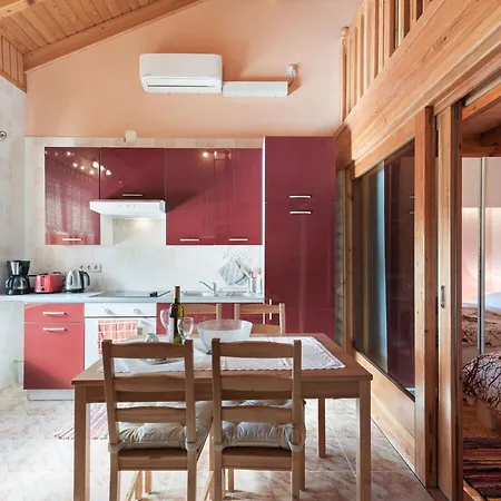 Ferienhaus Large With Private Pool And Garden
