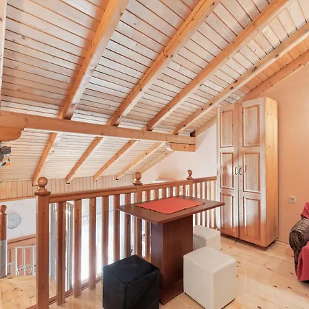 Ferienhaus Large With Private Pool And Garden